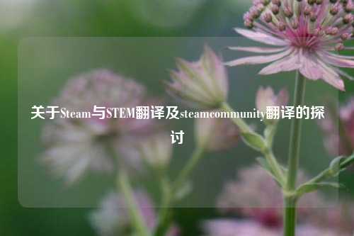 关于Steam与STEM翻译及steamcommunity翻译的探讨