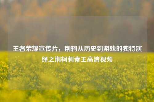 王者荣耀宣传片，荆轲从历史到游戏的独特演绎之荆轲刺秦王高清视频