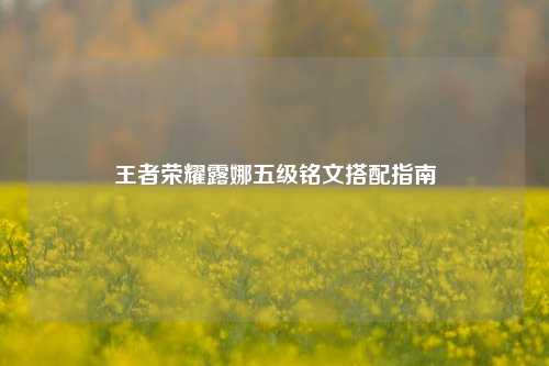王者荣耀露娜五级铭文搭配指南