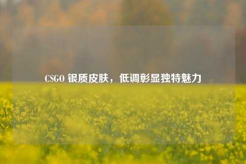 CSGO 银质皮肤，低调彰显独特魅力