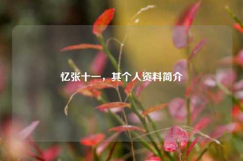 忆张十一，其个人资料简介