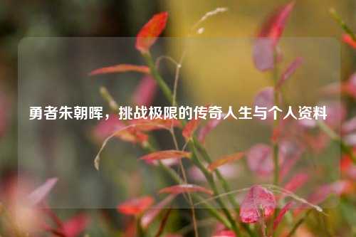 勇者朱朝晖，挑战极限的传奇人生与个人资料