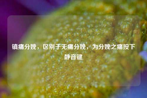 镇痛分娩，区别于无痛分娩，为分娩之痛按下静音键