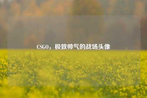 CSGO，极致帅气的战场头像
