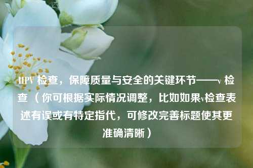 HPV 检查，保障质量与安全的关键环节——v 检查 （你可根据实际情况调整，比如如果v检查表述有误或有特定指代，可修改完善标题使其更准确清晰）