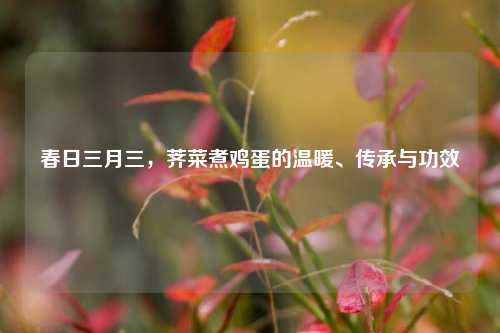 春日三月三，荠菜煮鸡蛋的温暖、传承与功效