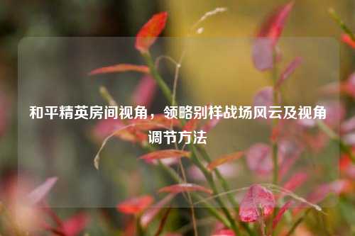 和平精英房间视角，领略别样战场风云及视角调节 *** 