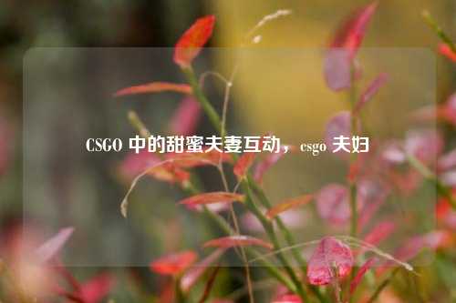 CSGO 中的甜蜜夫妻互动，csgo 夫妇