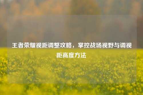 王者荣耀视距调整攻略，掌控战场视野与调视距高度 *** 