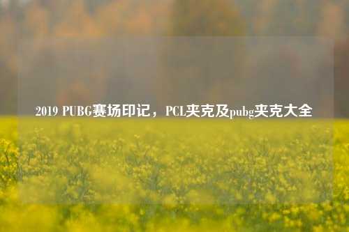 2019 PUBG赛场印记，PCL夹克及pubg夹克大全