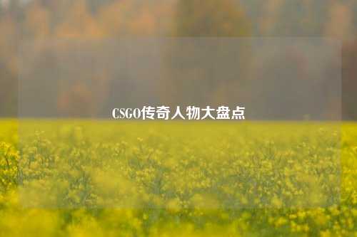 CSGO传奇人物大盘点