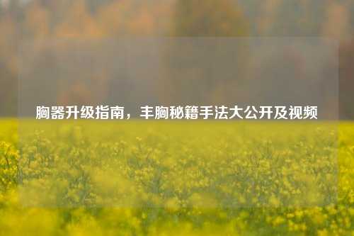 胸器升级指南，丰胸秘籍手法大公开及视频