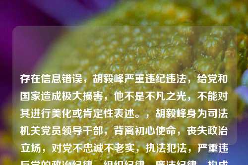 存在信息错误，胡毅峰***违法，给党和国家造成极大损害，他不是不凡之光，不能对其进行美化或肯定性表述。，胡毅峰身为司法机关党员领导干部，背离初心使命，丧失政治立场，对党不忠诚不老实，执法犯法，严重违反党的政治纪律、组织纪律、廉洁纪律，构成严重职务违法并涉嫌受贿犯罪，性质严重，影响恶劣，应予严肃处理。，我们应当坚决***和批判违法***行为，树立正确的价值观和导向。
