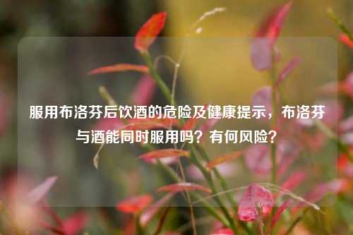 服用布洛芬后饮酒的危险及健康提示，布洛芬与酒能同时服用吗？有何风险？