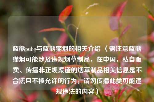 蓝熊pubg与蓝熊猫烟的相关介绍 （需注意蓝熊猫烟可能涉及违规烟草制品，在中国，私自贩卖、传播非正规渠道的烟草制品相关信息是不合法且不被允许的行为，请勿传播此类可能违规违法的内容）