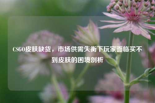 CSGO皮肤缺货，市场供需失衡下玩家面临买不到皮肤的困境剖析