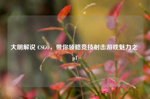 大明解说 CSGO，带你领略竞技射击游戏魅力之 p1