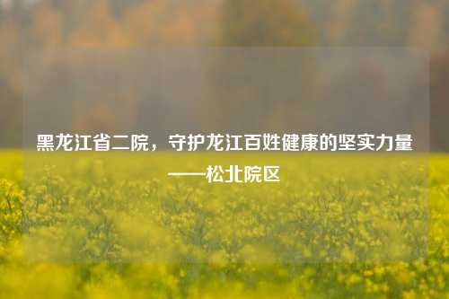 黑龙江省二院，守护龙江百姓健康的坚实力量——松北院区