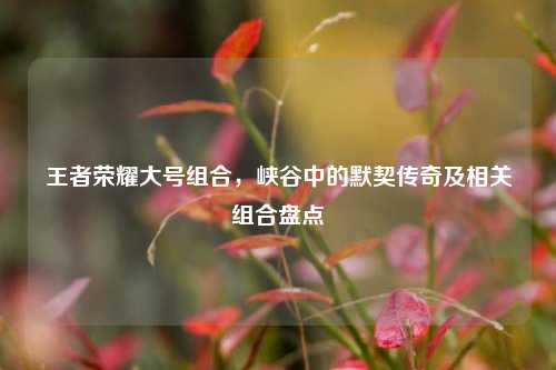 王者荣耀大号组合，峡谷中的默契传奇及相关组合盘点