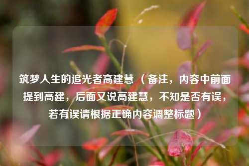 筑梦人生的追光者高建慧 （备注，内容中前面提到高建，后面又说高建慧，不知是否有误，若有误请根据正确内容调整标题）