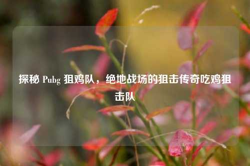 探秘 Pubg 狙鸡队，绝地战场的狙击传奇吃鸡狙击队