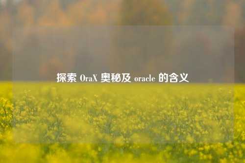 探索 OraX 奥秘及 oracle 的含义