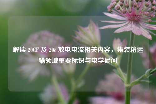 解读 20CF 及 20c 放电电流相关内容，集装箱运输领域重要标识与电学疑问