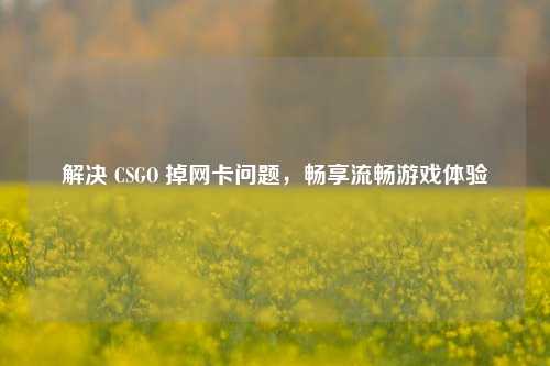 解决 CSGO 掉网卡问题，畅享流畅游戏体验