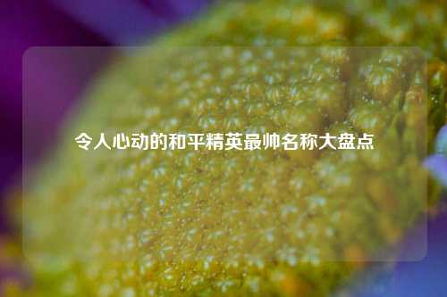 令人心动的和平精英最帅名称大盘点