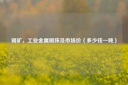 锡矿，工业金属明珠及市场价（多少钱一吨）
