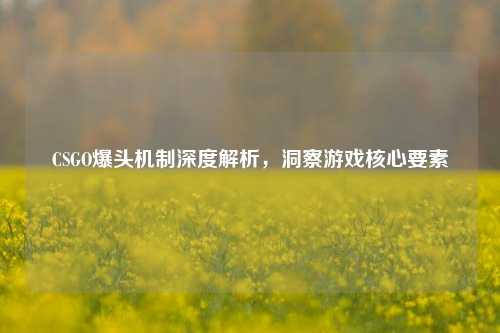 CSGO爆头机制深度解析，洞察游戏核心要素