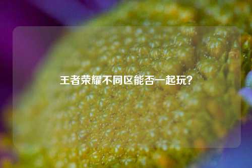 王者荣耀不同区能否一起玩？