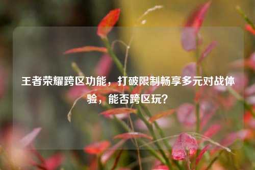 王者荣耀跨区功能，打破限制畅享多元对战体验，能否跨区玩？