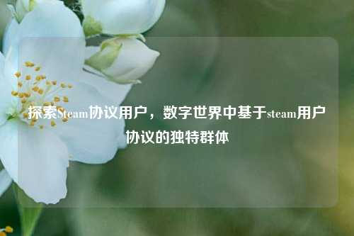 探索Steam协议用户，数字世界中基于steam用户协议的独特群体