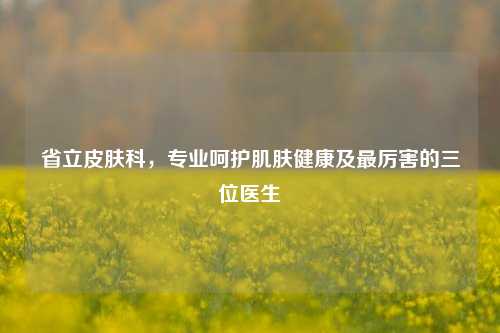 省立皮肤科，专业呵护肌肤健康及最厉害的三位医生