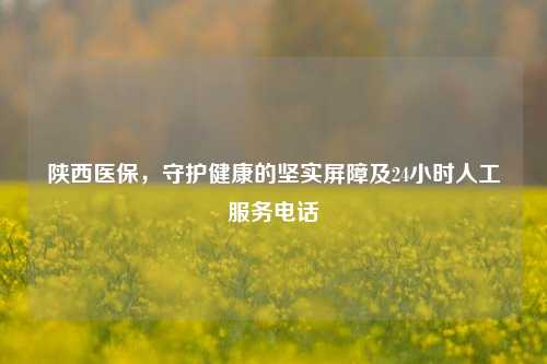陕西医保，守护健康的坚实屏障及24小时人工服务 *** 