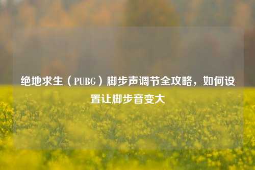 绝地求生（PUBG）脚步声调节全攻略，如何设置让脚步音变大