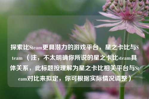 探索比Steam更具潜力的游戏平台，星之卡比与Steam （注，不太明确你所说的星之卡比steam具体关系，此标题按理解为星之卡比相关平台与Steam对比来拟定，你可根据实际情况调整）