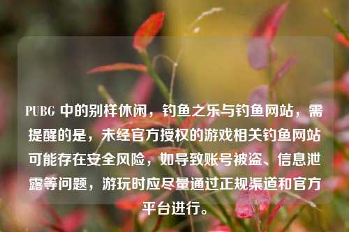 PUBG 中的别样休闲，钓鱼之乐与钓鱼网站，需提醒的是，未经官方授权的游戏相关钓鱼网站可能存在安全风险，如导致账号被盗、信息泄露等问题，游玩时应尽量通过正规渠道和官方平台进行。