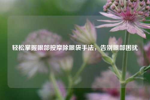 轻松掌握眼部***除眼袋手法，告别眼部困扰