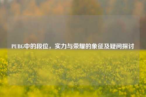 PUBG中的段位，实力与荣耀的象征及疑问探讨