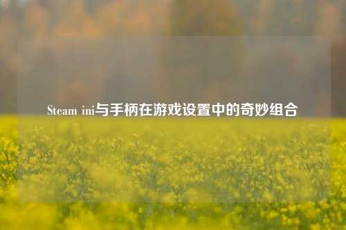 Steam ini与手柄在游戏设置中的奇妙组合