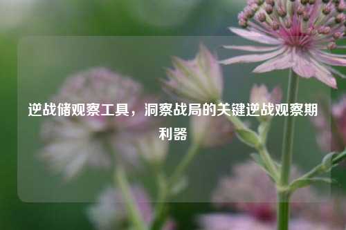 逆战储观察工具，洞察战局的关键逆战观察期利器