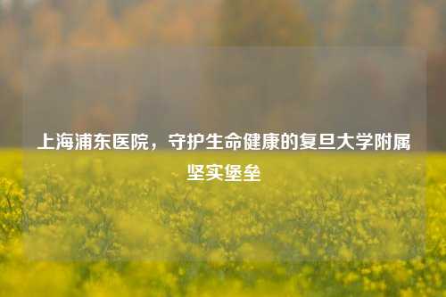上海浦东医院，守护生命健康的复旦大学附属坚实堡垒