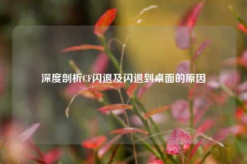 深度剖析CF闪退及闪退到桌面的原因