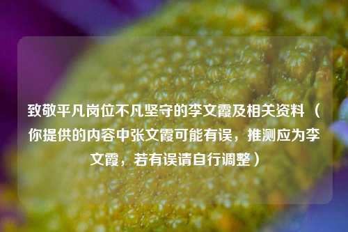 致敬平凡岗位不凡坚守的李文霞及相关资料 （你提供的内容中张文霞可能有误，推测应为李文霞，若有误请自行调整）