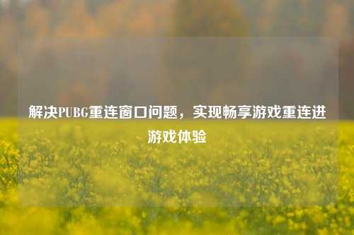 解决PUBG重连窗口问题，实现畅享游戏重连进游戏体验
