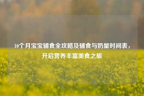 10个月宝宝辅食全攻略及辅食与奶量时间表，开启营养丰富美食之旅
