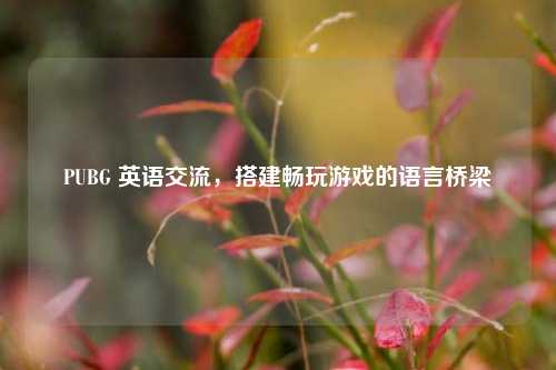 PUBG 英语交流，搭建畅玩游戏的语言桥梁