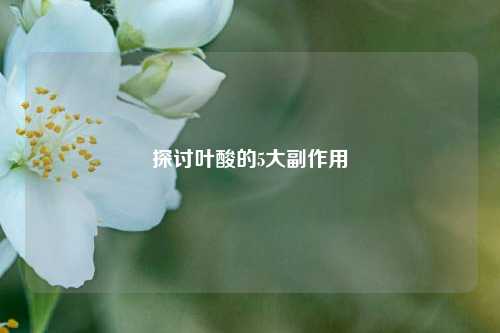 探讨叶酸的5大副作用